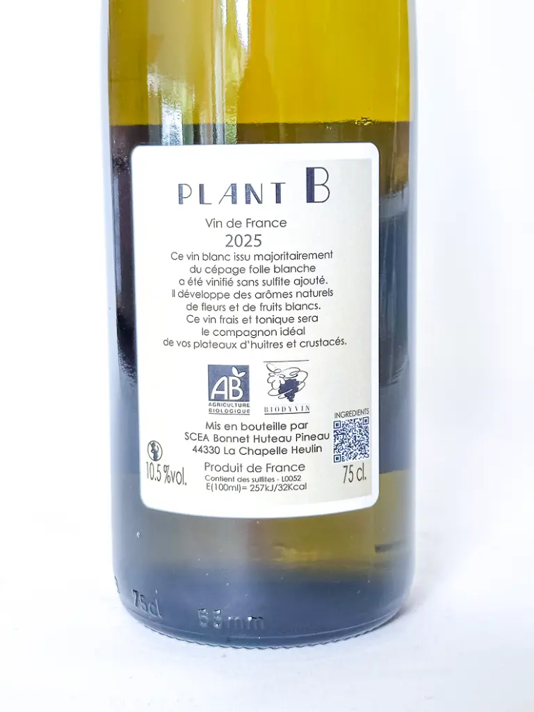 A-38.webp