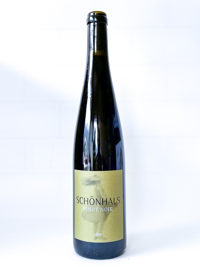 pinot noir weingut schoenhals Löss, BIO 2021 75 cl Rouge