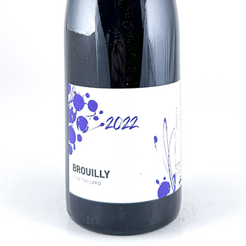 Beaujolais, village Alex Foillard Brouilly, Nature 2022 75 cl Rouge