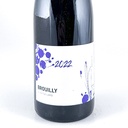 Beaujolais, village Alex Foillard Brouilly, Nature 2022 75 cl Rouge
