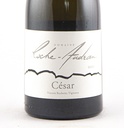 Côtes du Rhône Villages La Roche Audran Cesar BIO 2020 75 cl Blanc