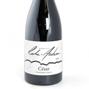 Côtes du Rhône Villages La Roche Audran Cuvée César, BIO, Biodynamie 2019 75 cl Rouge
