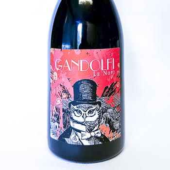 Vin de France nature Le Novi gandolfi BIO 2024 75 cl Rouge