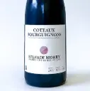Bourgogne, Sylvain Morey Coteaux Bourguignons 2023 75 cl Rouge