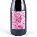 Vin de France Chaume Arnaud Pet Nat , BIO 2023 75 cl Bulles - Rosé