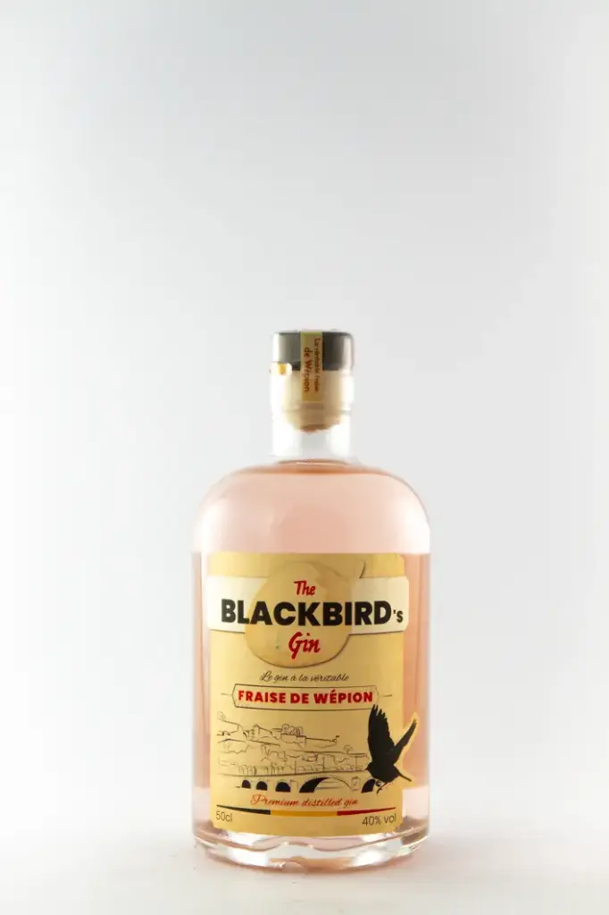 Gin Black Bird, distillerie de namur Terra Nova 50 cl Alcool