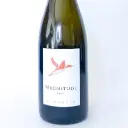 Vin de France, Bio, Biodynamie Domaine des Huards Magnitude 2023 75 cl Bulles - Blanc