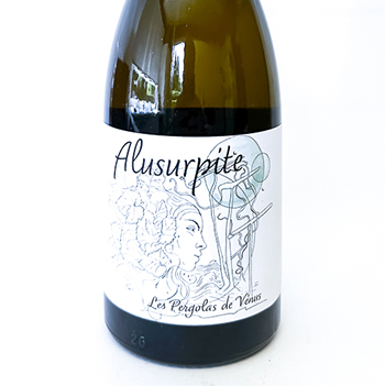 IGP vins des allobroges Adrien berlioz ALUSURPITE BIO 2024 75 cl Blanc