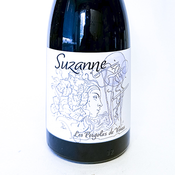 IGP vins des allobroges Adrien berlioz SUZANNE BIO 2024 75 cl Rouge