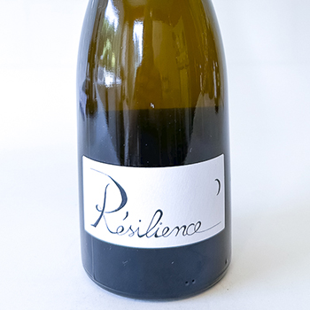 chignin blanc Gilles Berlioz Résilience, BIO 2023 75 cl Blanc
