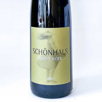 pinot noir weingut schoenhals Löss, BIO 2021 75 cl Rouge