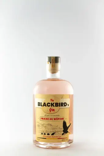 Gin Black Bird, distillerie de namur Terra Nova 50 cl Alcool
