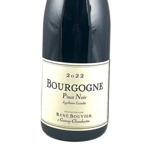 Bourgogne Pinot Noir René Bouvier Pinot Noir 2022 75 cl Rouge